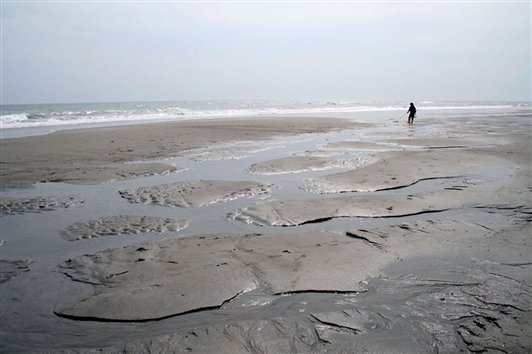 アカウミガメの産卵地　表浜海岸